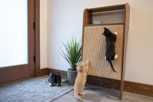 4 Cats & Dogs Wesley Cat Scratcher - Walnut