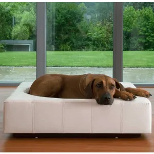Cube Leather Luxury Dog Bed By Pet Interiors