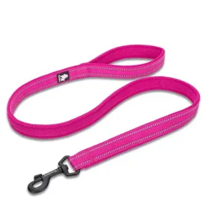 PetAffairs Reflective Safety Dog Leash (10 cm) Mesh-Padded Nylon